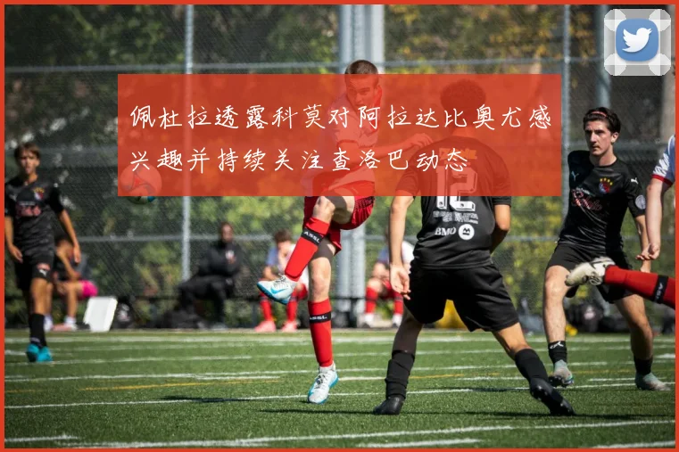 佩杜拉透露科莫对阿拉达比奥尤感兴趣并持续关注查洛巴动态
